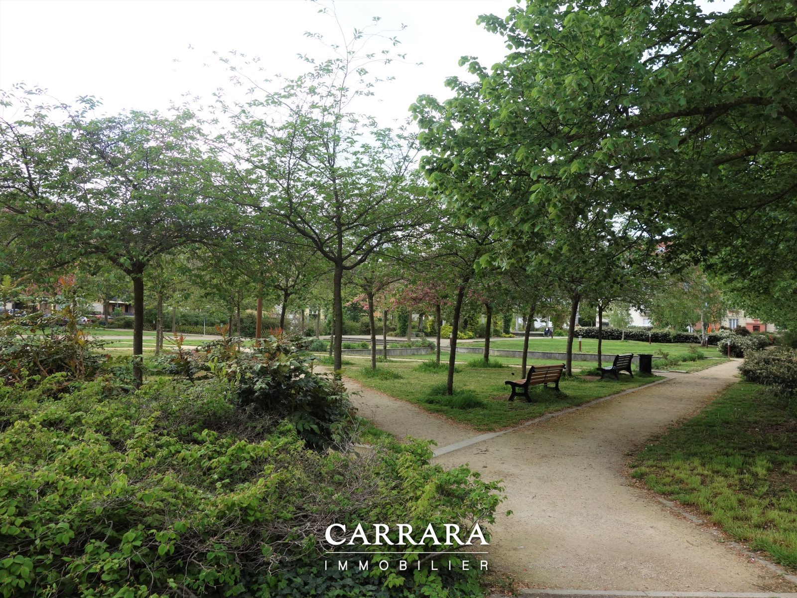 Image_, Studio, Metz, ref :4451